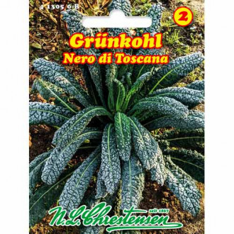 Varză kale Nero di Toscana Chrestensen imagine 17