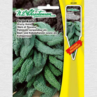 Varză kale Nero di Toscana imagine 4