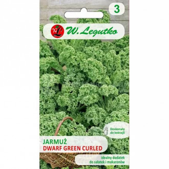 Varză Kale pitică Green Curled imagine 2