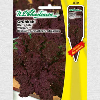 Varză kale Redbor F1 imagine 13