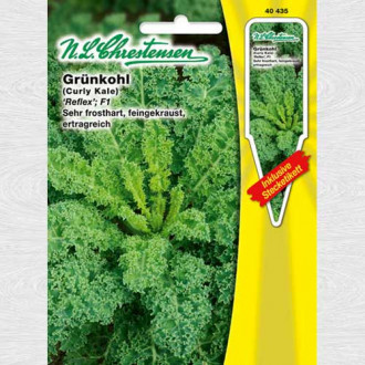 Varză kale Reflex F1 imagine 17