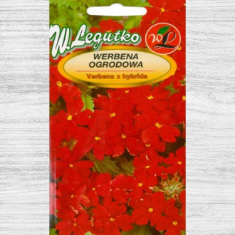 Verbena de grădină roșie imagine 5