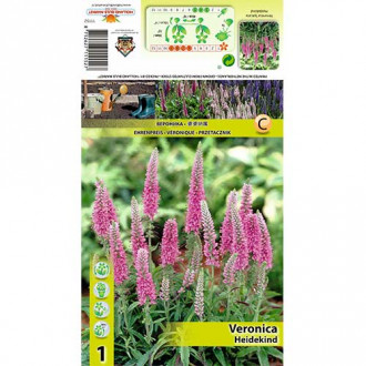 Veronica Heidekind imagine 4