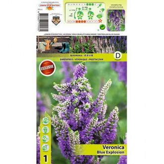 Вероника Blue Explosion изображение 6