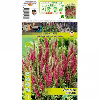 Вероника Rotfuchs изображение 11