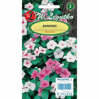 Brebenoc de Madagascar, mix multicolor imagine 1