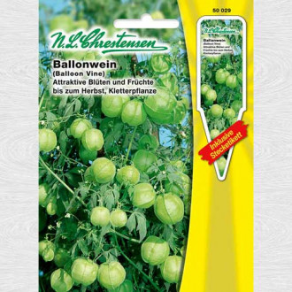 Viță cu baloane imagine 1