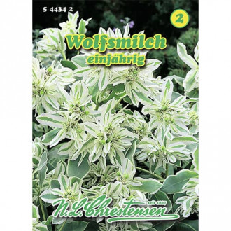 Wilczomlecz (Euphorbia) interface.image 1