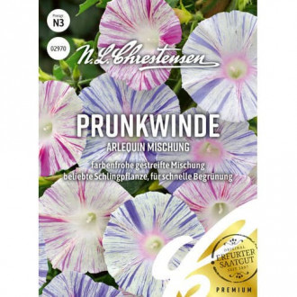 Wilec (Ipomoea) Arlequin, mix kolorow interface.image 8