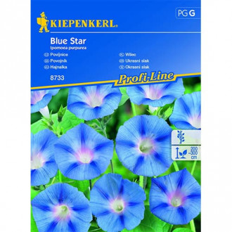 Wilec (Ipomoea) Blue Star interface.image 3