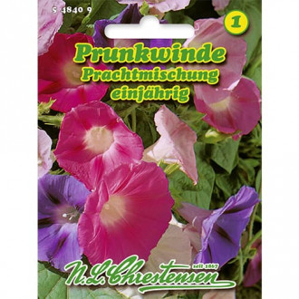 Wilec (Ipomoea) ogrodowy, mix kolorow interface.image 13