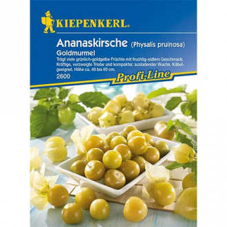 Физалис ядлив Goldmurmel изображение 5