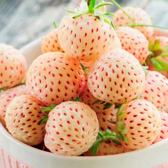 Ягода Ananas изображение 8