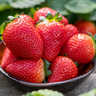 Ягода Lauretta изображение 5