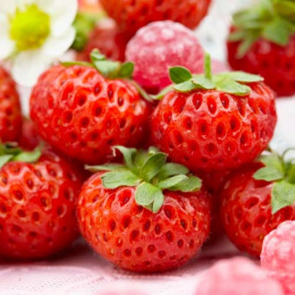 Ягода Mieze Schindler изображение 8