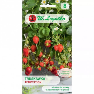 Ягода Temptation изображение 4