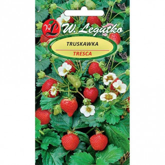 Ягода Tresca изображение 5