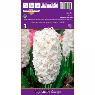 Zambile Carnegie imagine 9