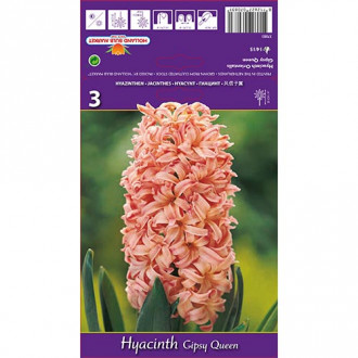 Zambile Gipsy Queen imagine 2