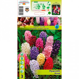 Zambile mix multicolor imagine 17