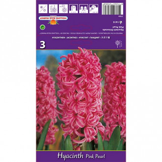 Zambile Pink Pearl imagine 3