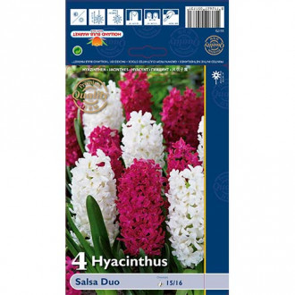 Zambile Salsa Duo mix multicolor imagine 6