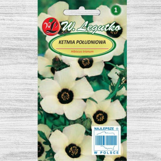 Zămoșiță imagine 2