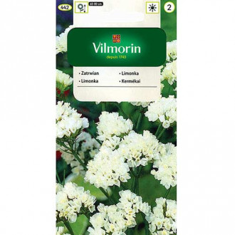 Zatrwian wrębny biały Vilmorin interface.image 10