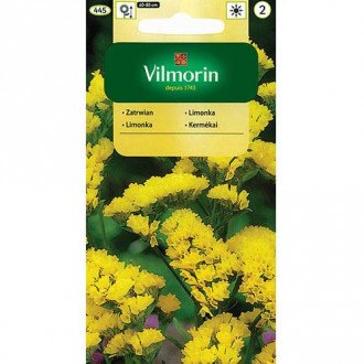 Zatrwian wrębny żółty Vilmorin interface.image 16