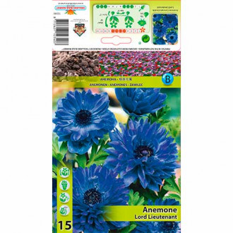 Zawilec (Anemone) Double Lord Lieutenant interface.image 1