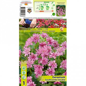 Здравец Southcombe Double изображение 4