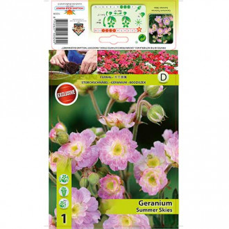 Здравец Summer Skies изображение 3