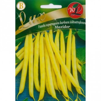 Зелен фасул нисък Maxidor изображение 15