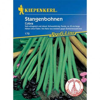 Зелен фасул увивен Cobra изображение 18