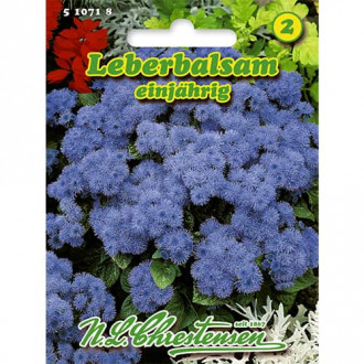 Zeniszek (Ageratum) meksykanski interface.image 1
