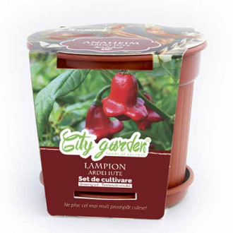 Zestaw do uprawy - Papryka ostra Chilli Lampion interface.image 12