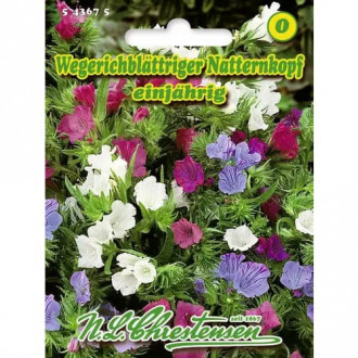 Живовлеково усойниче Chrestensen изображение 1