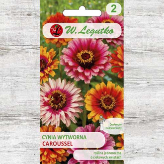 Zinnia (Cârciumăreasă) Caroussel Legutko imagine 7