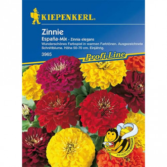 Zinnia (Cârciumăreasă) Espana, mix multicolor imagine 13