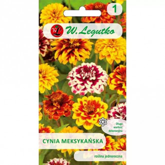Zinnia (Cârciumăreasă) mexicană, mix multicolor imagine 9