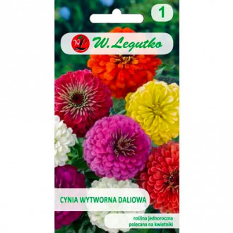 Zinnia (Cârciumăreasă), Mix Legutko imagine 15