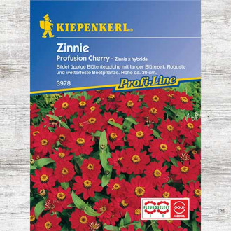 Zinnia (Cârciumăreasă) Profusion Cherry imagine 6