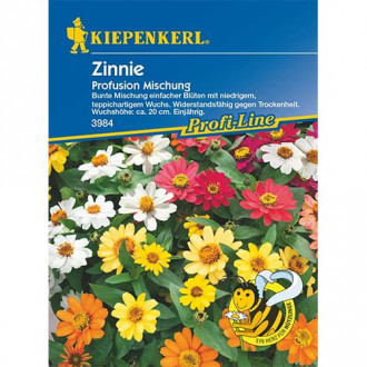 Zinnia (Cârciumăreasă) Profusion, mix multicolor imagine 7
