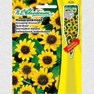 Zinnia (Cârciumăreasă) târâtoare Gold Braid imagine 4