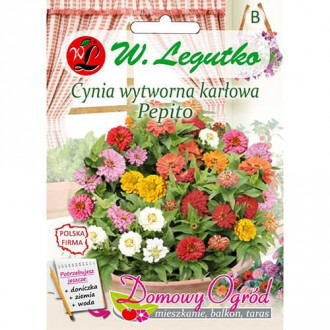 Zinnia Pepito, mix multicolor imagine 13