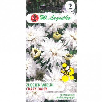 Zlocien Crazy Daisy interface.image 10