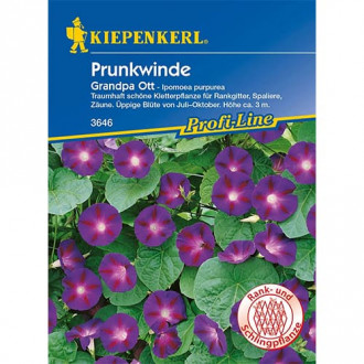 Zorele (Ipomea) Grandpa Ott imagine 2