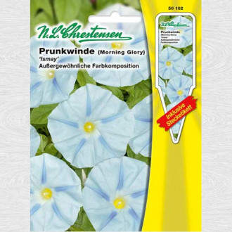 Zorele (Ipomea) Ismay imagine 17