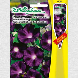 Zorele (Ipomea) Lightning imagine 16