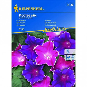 Zorele (Ipomea) Picotee, mix multicolor imagine 6